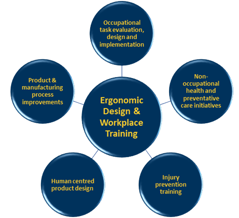 Ergonomic Design & Workplace Training Diagram