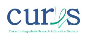 Knowledge Translation Hub