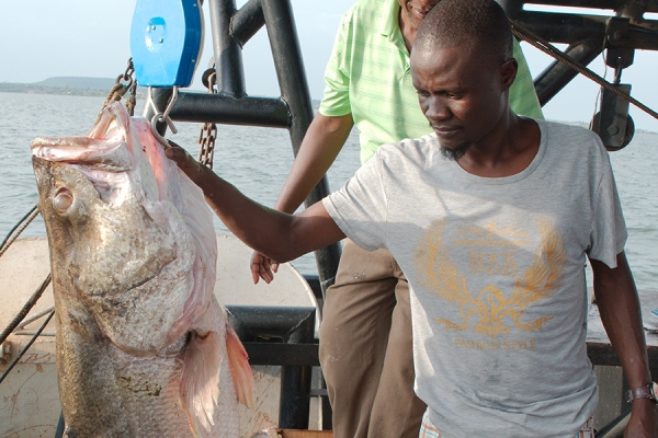 Researchers seeking answers to mercury accumulation in African fish