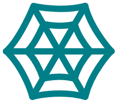 C4G Network