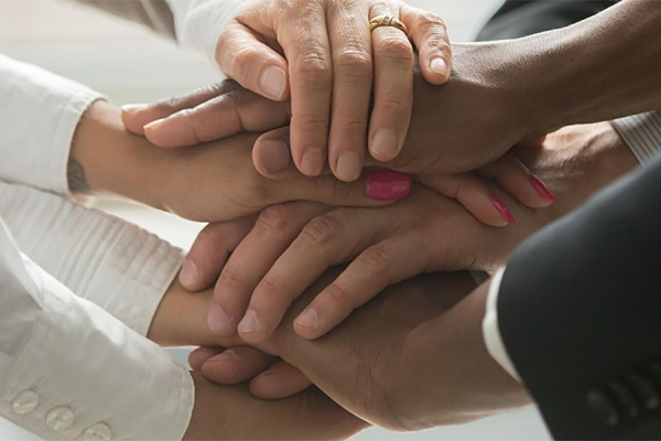 WE-SPARK Health Institute Releases 3rd Quarter Progress Report
