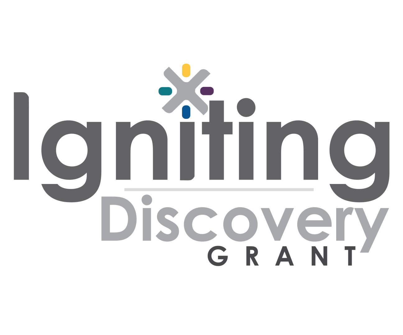 Igniting Discovery Grant Writing Workshop