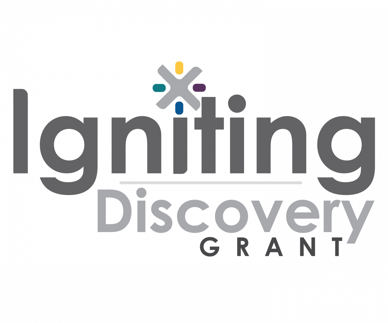 Igniting Discovery Grants