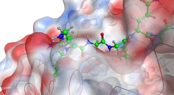 Computational tool to simplify process of drug discovery