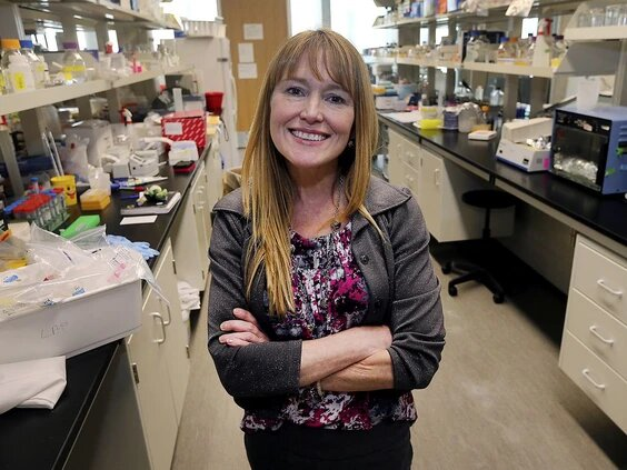 Windsor researcher earns grant money for breast cancer