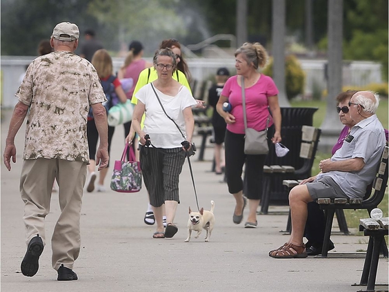 'Time to experiment' — envisioning a more healthy, diverse post-pandemic Windsor